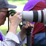 Fernando Curado Matos fotógrafo fotojornalismo desportivo em ação